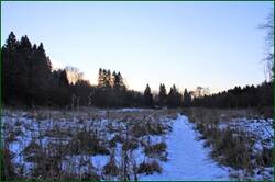 0_15567e_bb04b78f_orig.jpg