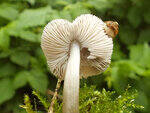 0_ae468_d42ba164_S.jpg