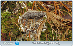 0_f6e26_81983eb4_orig.png