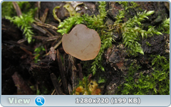 0_f27f2_7671da51_orig.png