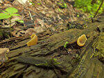0_bc530_f140af52_S.jpg