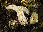 0_ae377_94e86276_S.jpg