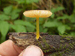 0_ae45c_284c3b2e_S.jpg