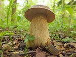 0_bc51b_97391dfa_S.jpg
