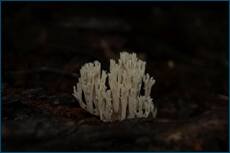0_ce07f_405f20b7_orig.jpg