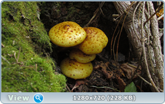 0_efbaa_809f44e4_orig.png