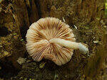0_ae453_5a007ba7_S.jpg