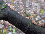 0_cf73c_c6324678_S.jpg
