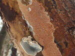 0_d2abb_8770ed70_S.jpg