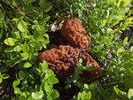 0_ba41f_bd3769ca_S.jpg