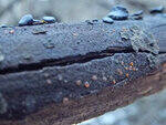 0_d3a36_57375fba_S.jpg
