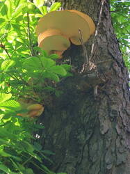 0_8cd1e_aa8505c9_M.jpg