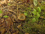 0_c240c_835642b4_S.jpg
