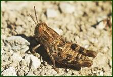 0_fd217_533103fe_orig.jpg