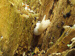 0_ae454_58949d84_S.jpg