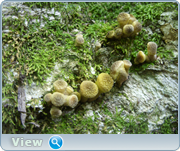 0_130bdf_6230fd11_orig.png