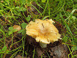 0_ae370_f4119e3b_S.jpg