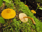 0_ae474_42b2db89_S.jpg