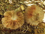 0_ae487_60be57e1_S.jpg