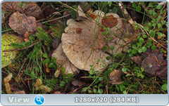0_f6da6_9f6edfa2_orig.png
