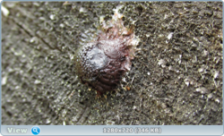 0_e3534_12ec738f_orig.png
