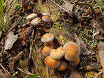 0_ba3f9_731c522d_S.jpg