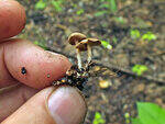 0_c2429_e61bd721_S.jpg