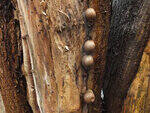 0_d0d5f_96d315c7_S.jpg