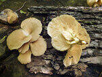 0_c23bb_b13696a6_S.jpg