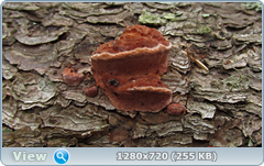 0_fc59c_76ab3fa0_orig.png