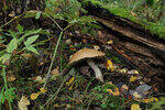 0_de705_825cbce5_S.jpg