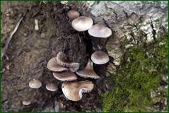 0_1027dc_8928491e_orig.jpg