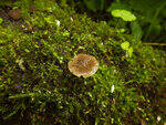 0_ae469_6aea2766_S.jpg