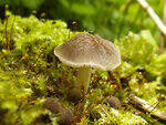 0_ae46a_39410198_S.jpg