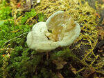 0_c1b5b_549e8830_S.jpg
