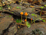 0_bb55c_719274c1_S.jpg