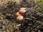 0_bb564_312d24ca_S.jpg