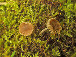 0_ae471_b8c6843d_S.jpg