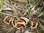 0_ba3ea_1559688c_S.jpg