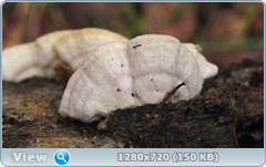 0_f6de6_255977b6_orig.png