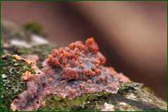 0_104f2d_3d02099c_orig.png