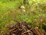 0_bb435_6f850c37_S.jpg