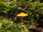 0_bc5ad_66506b71_S.jpg
