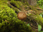 0_ae43a_21d78c78_S.jpg
