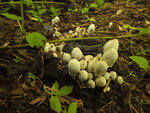 0_baa4b_3942164c_S.jpg