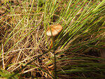 0_bb490_d7e1663_S.jpg