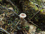0_bb74f_c19df978_S.jpg