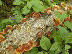 0_c1ba3_1639a3e0_S.jpg