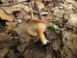 0_ba415_5fc8d523_S.jpg