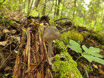 0_bb49a_6898e44_S.jpg